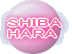 SHIBA HARA